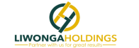 Liwonga Holdings